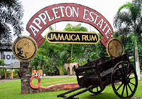 Appleton Rum Tour